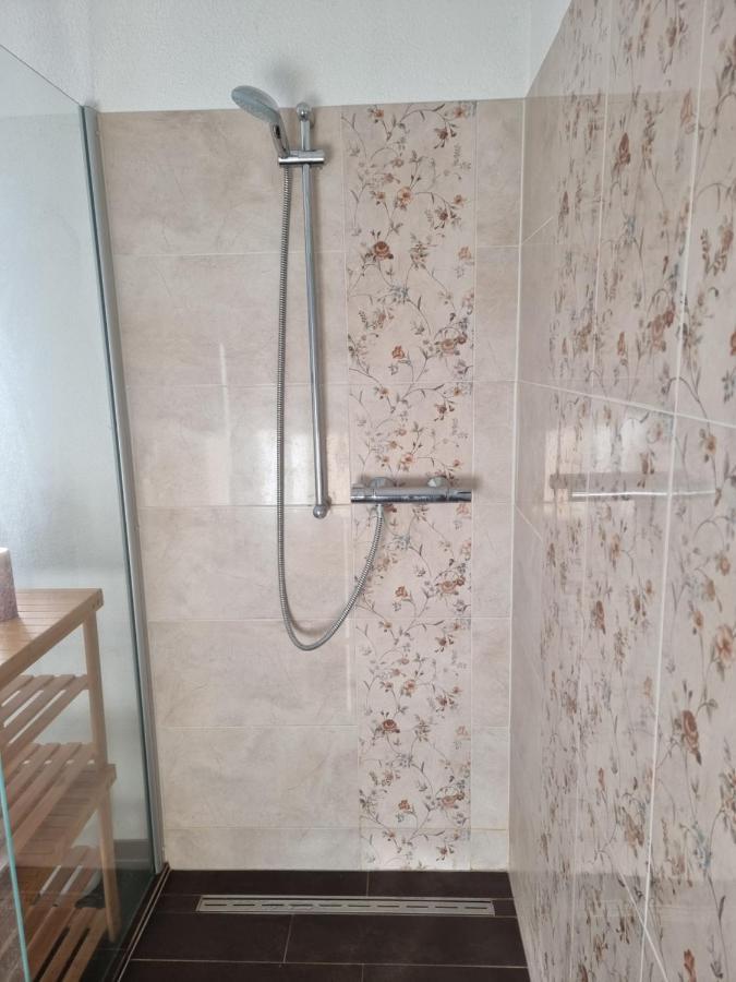 Alte Bibliothek Apartment Kottmar Ngoại thất bức ảnh